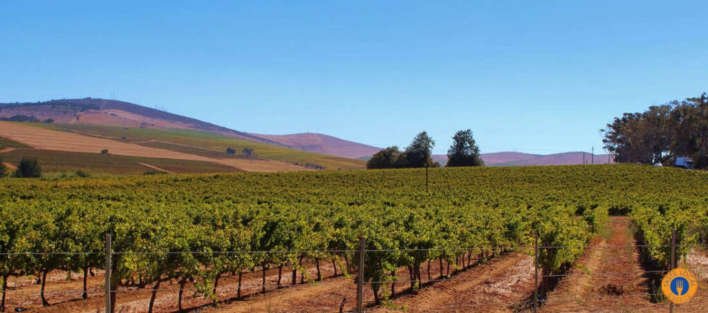 Three days in Arcadia with George, our Gastronomic Correspondent from " Taste Local Greece". - Gastronomy Tours nemea abelonas 9 orig 1 - Gastronomy Tours